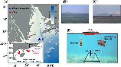 Morphology and distribution of suspended particles during typhoon-induced algal bloom in the Pearl River Estuary